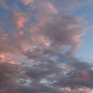 Meet your Posher, Jessie